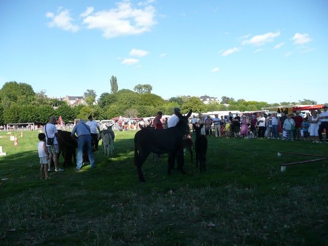 dimanche (329).jpg
